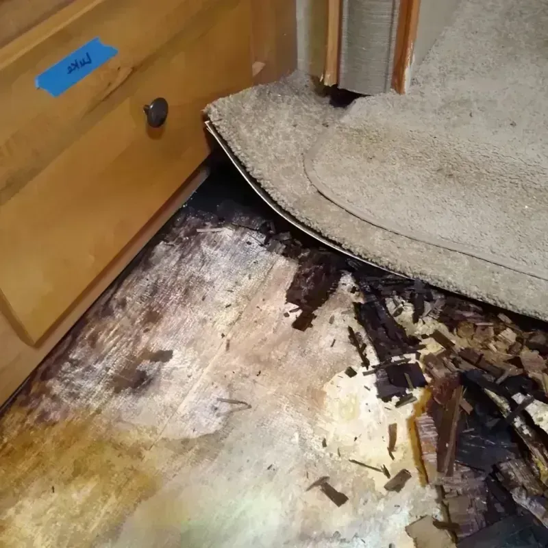 Wood Floor Water Damage in Republic, MO